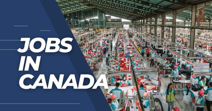 Urgent Jobs in Canada for Foreigners with Salaries